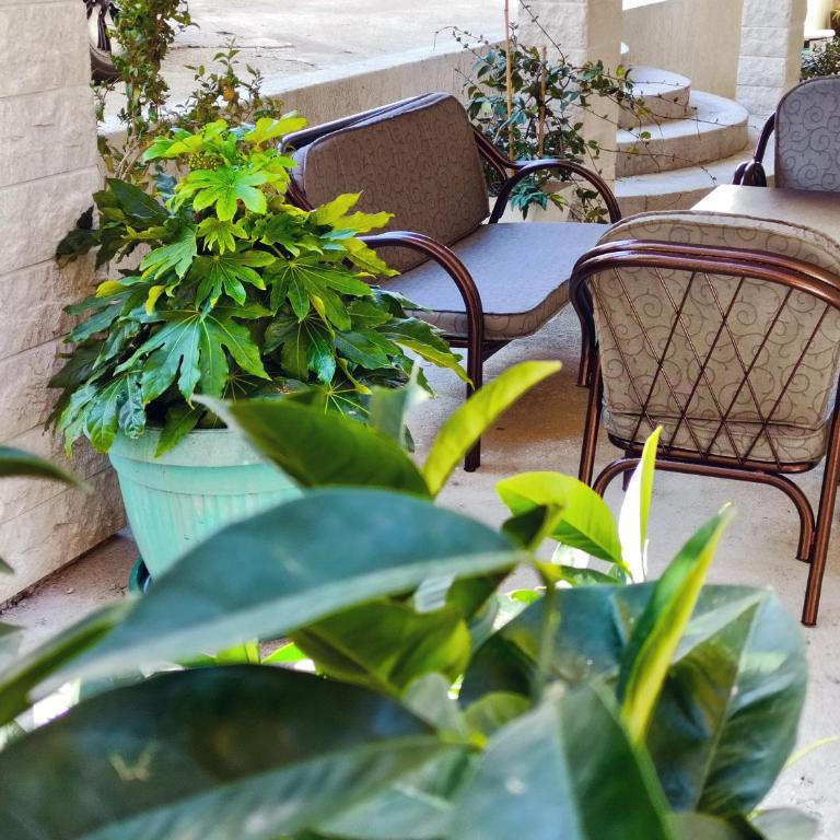 Apartmani Kenova 2 - One-Bedroom Apartment - 12