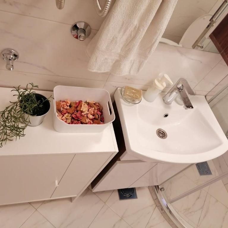 Tsar Dušan Apartment - Apartman sa 1 Spavaćom Sobom - 6