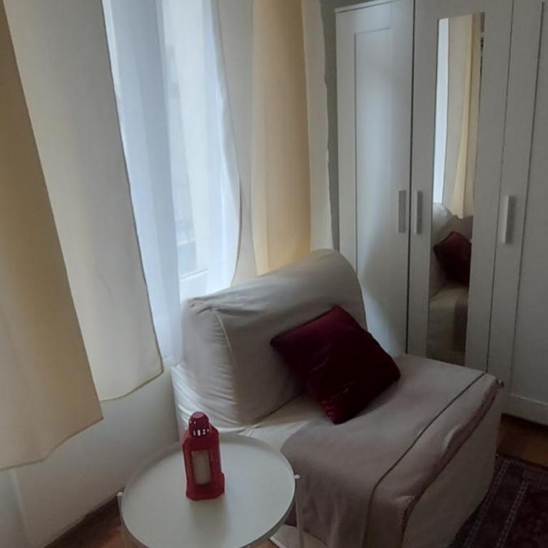 Tsar Dušan Apartment - Apartman sa 1 Spavaćom Sobom - 10