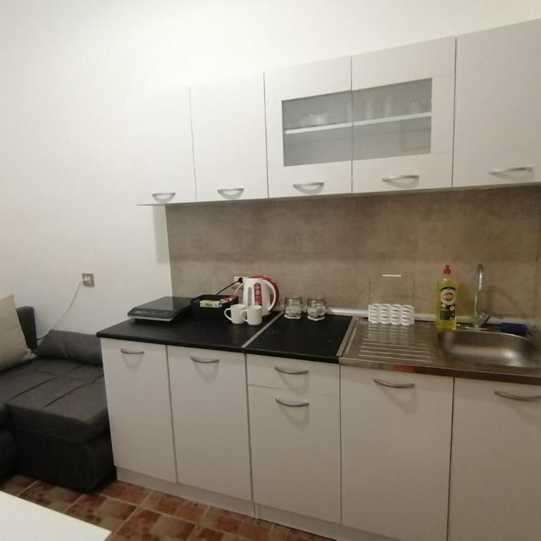 Tsar Dušan Apartment - Apartman sa 1 Spavaćom Sobom - 13