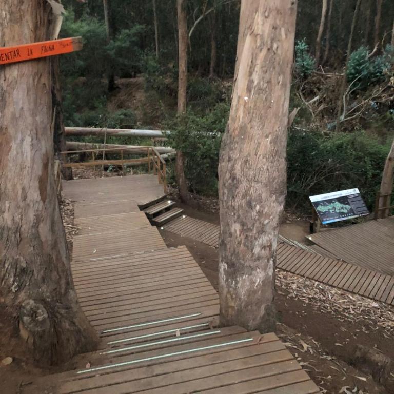 Barrio FORESTA - One-Bedroom Apartment - 20