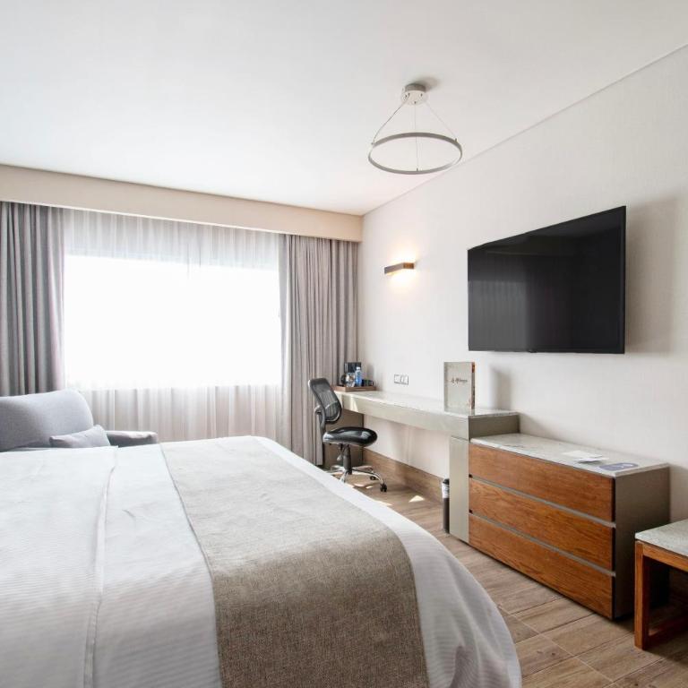 Hotel Plaza Diana - King Room - 9
