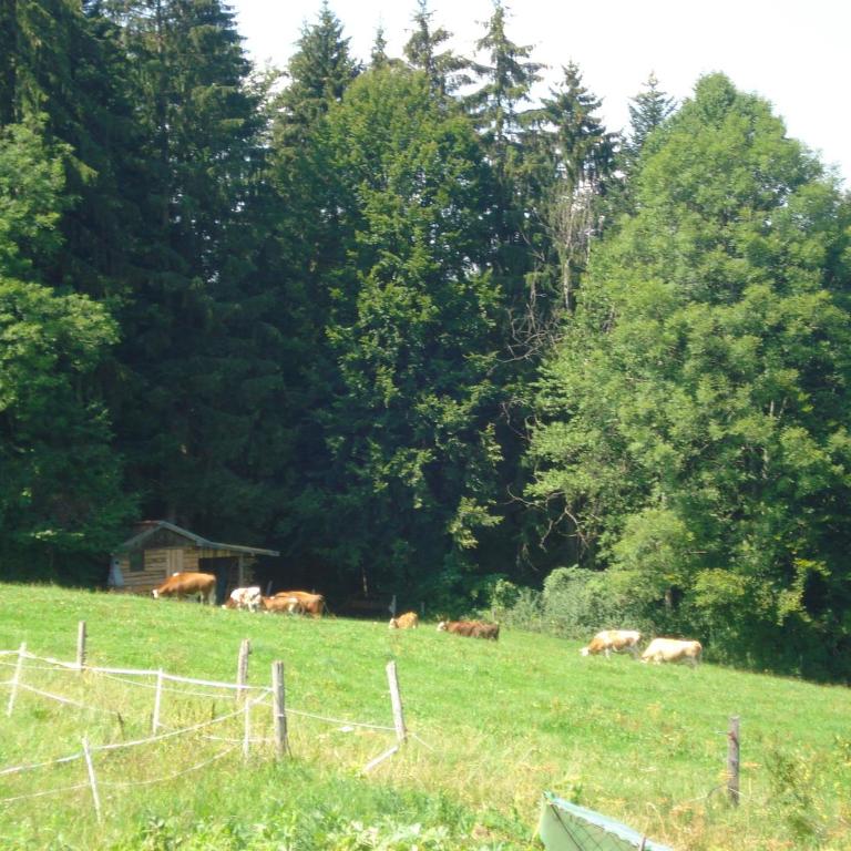 Haus Stöllinger - Ferienhaus mit 5 Schlafzimmern - 34