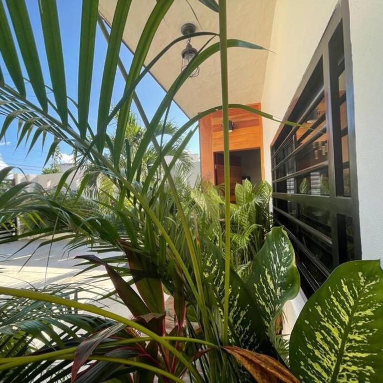 Casa NAJ BALAM - Casa de 2 dormitorios - 26