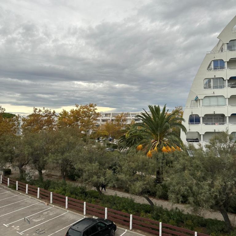 Studio première ligne mer parking - Appartamento con 1 Camera da Letto - 17
