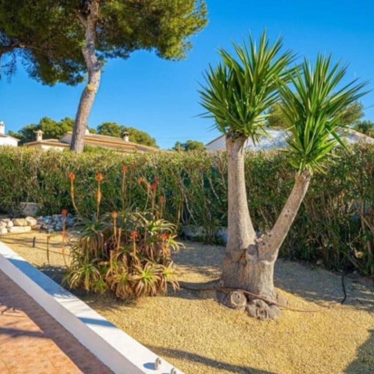 Casa Maria Granadella, three bedroom villa with private pool - Villa de 3 dormitorios - 34