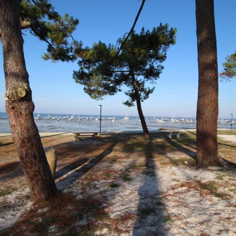 Séjour apaisant et découverte du Bassin d'Arcachon - Ferienhaus - 17