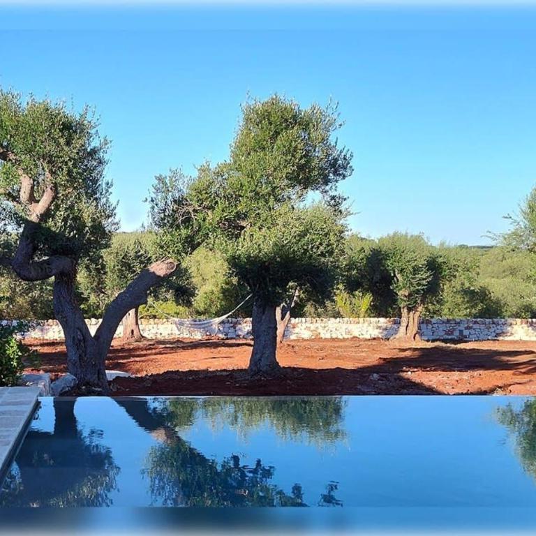 Trullo e Lamia - Luxury Villa Borgo Cinera - Vacation Home - 36