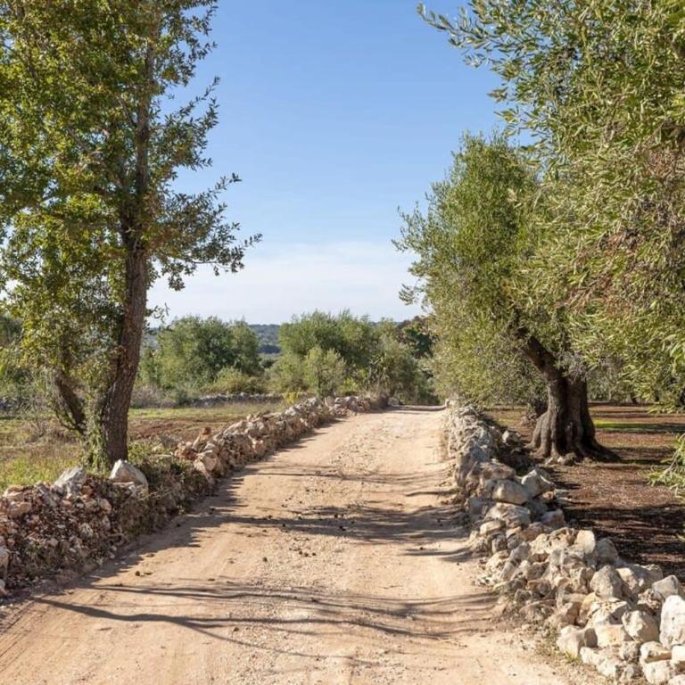 Luxury Villa Borgo Cinera - Villa - 79
