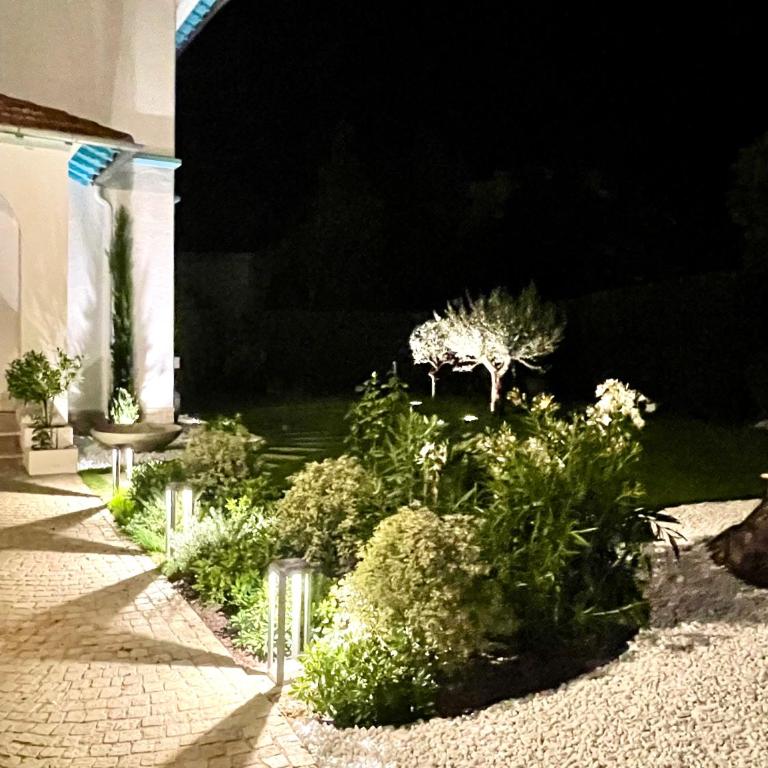 Villa Luxe piscine centre de Cannes - Villa - 53
