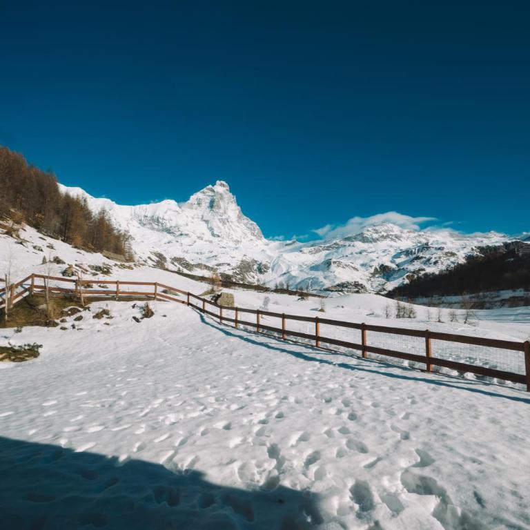 FAIRWAY LODGE - Chalet - 20