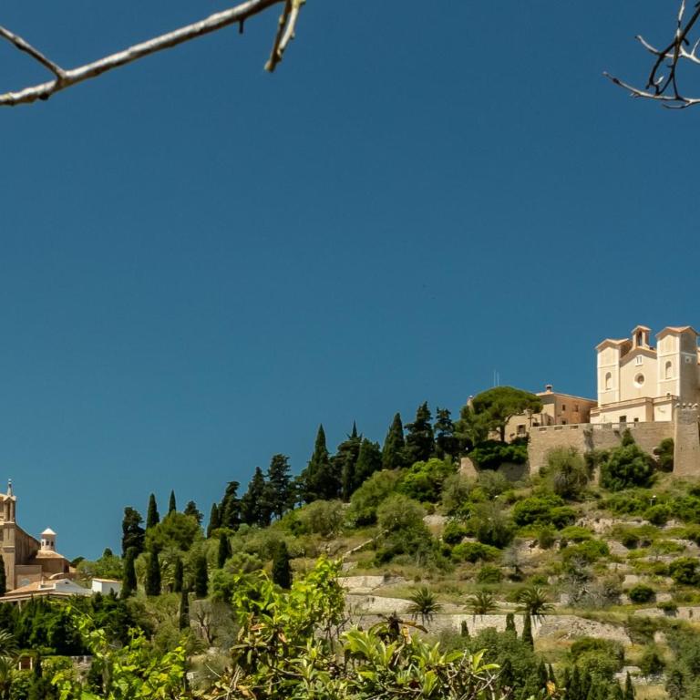 E219 Kashmir by Mallorca Villa Selection - Casa - 36