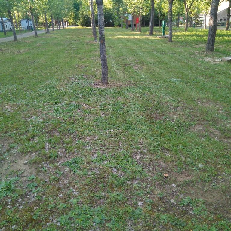 Camping Valle de Hecho - Empty spot with electricity and water for Autocamper and Van - 2