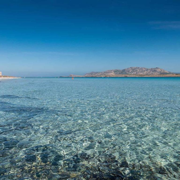 Apartment Stintino - Insel Sardinien 35763 - Appartamento - 18