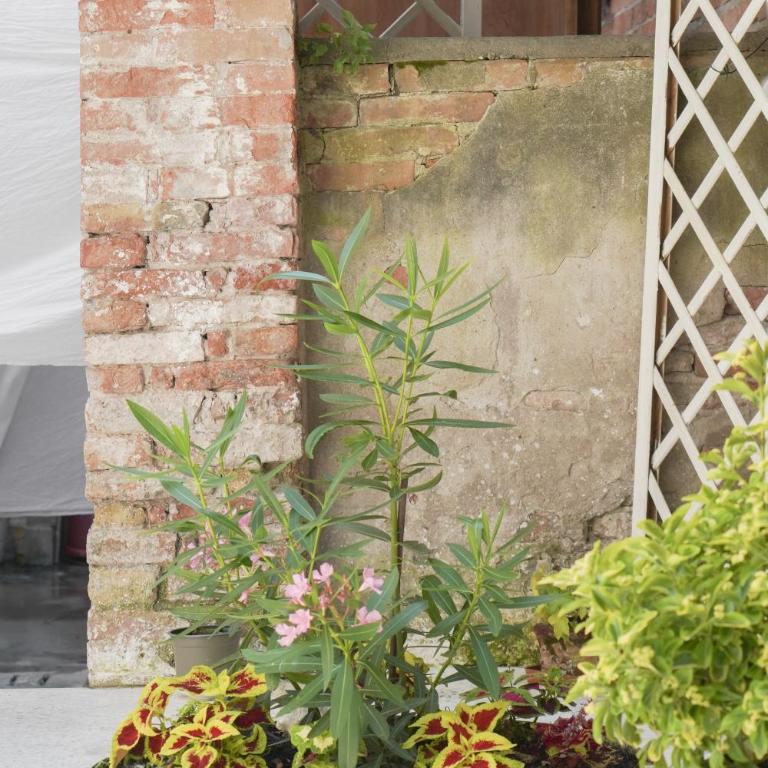 Melusina Homes Venice Historical Center - Appartamento con 1 Camera da Letto - Calle Massa 6661/M - 25