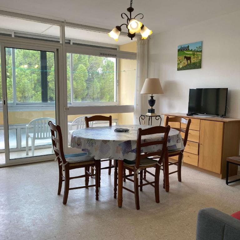 Appartement T2 lumineux avec loggia fermée, proche des thermes, parking, wifi - Balaruc-les-Bains - FR-1-553-184 - Appartement - 1