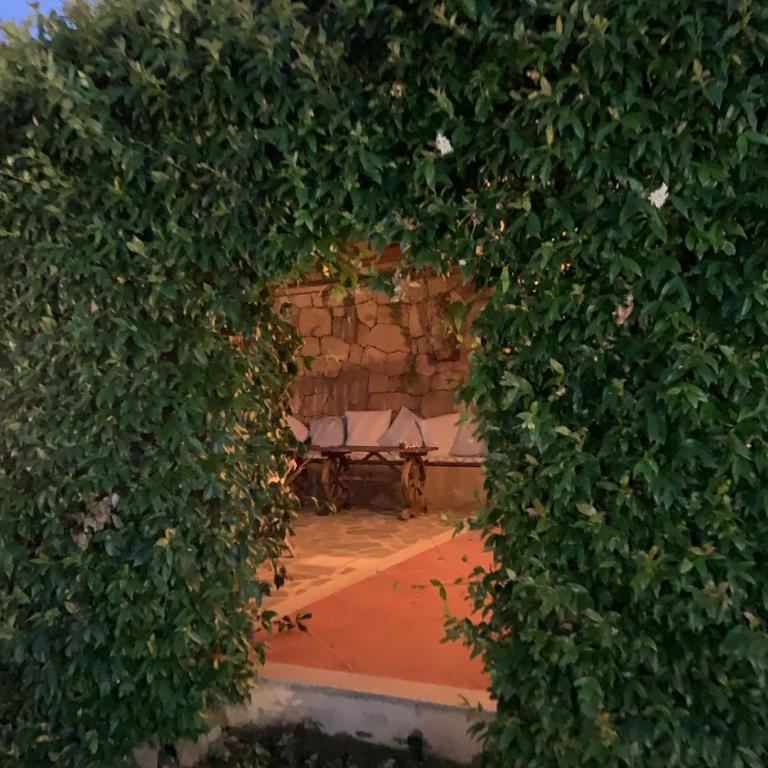 Lulamax Sardegna - Casa Vacanze (2 Adulti) - 17