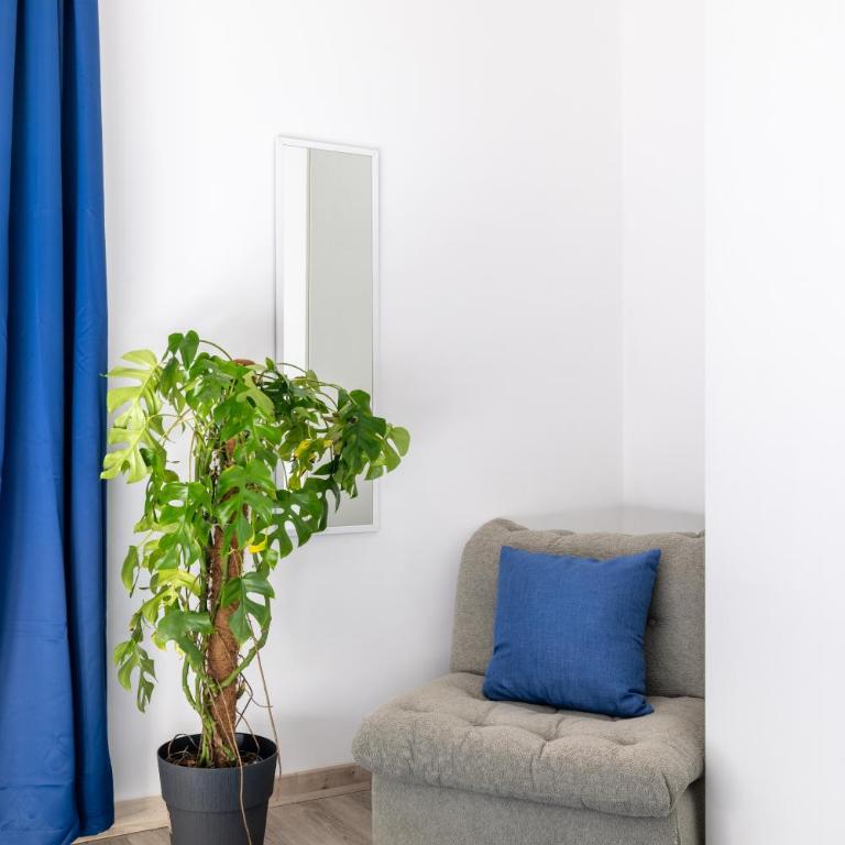 Maison Blu - in Trastevere - Appartamento - 43
