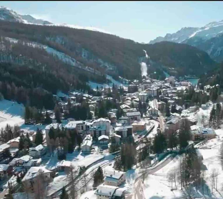 Chalet immerso nel verde - Two-Bedroom House - 22