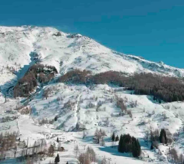 Chalet immerso nel verde - Two-Bedroom House - 23