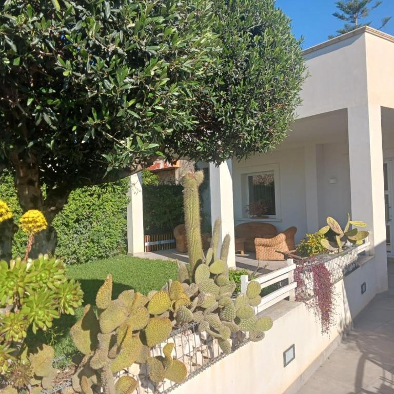 Villa Ninà- Kitesurf - Casa con 2 Camere da Letto - 5
