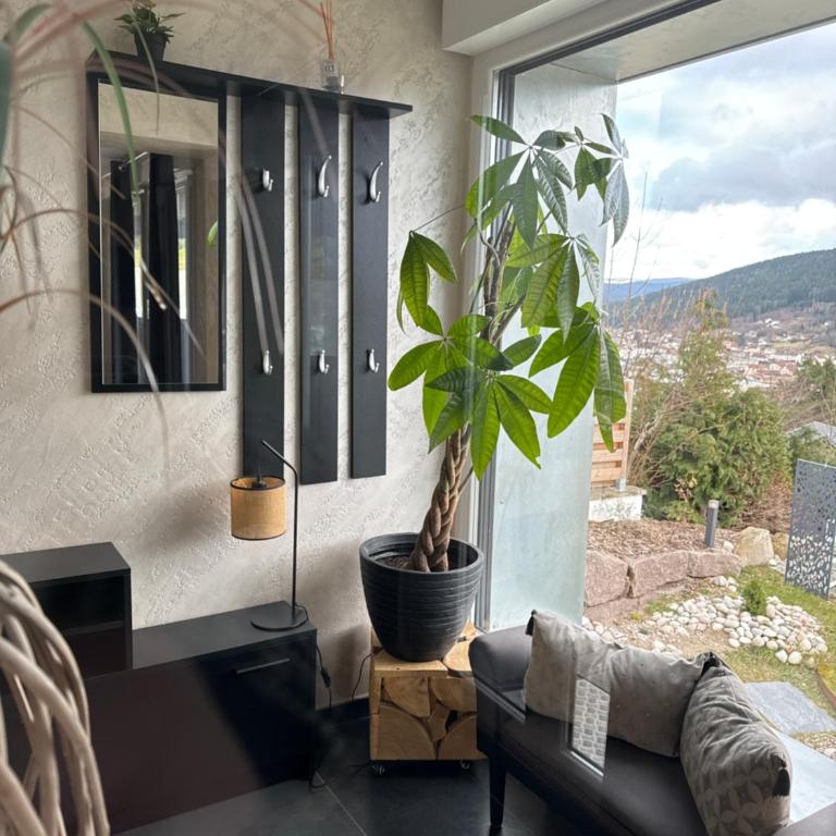 la ruche Bel appartement avec terrasse, magnifique vue , 2 spa - Appartement 1 Chambre - 7
