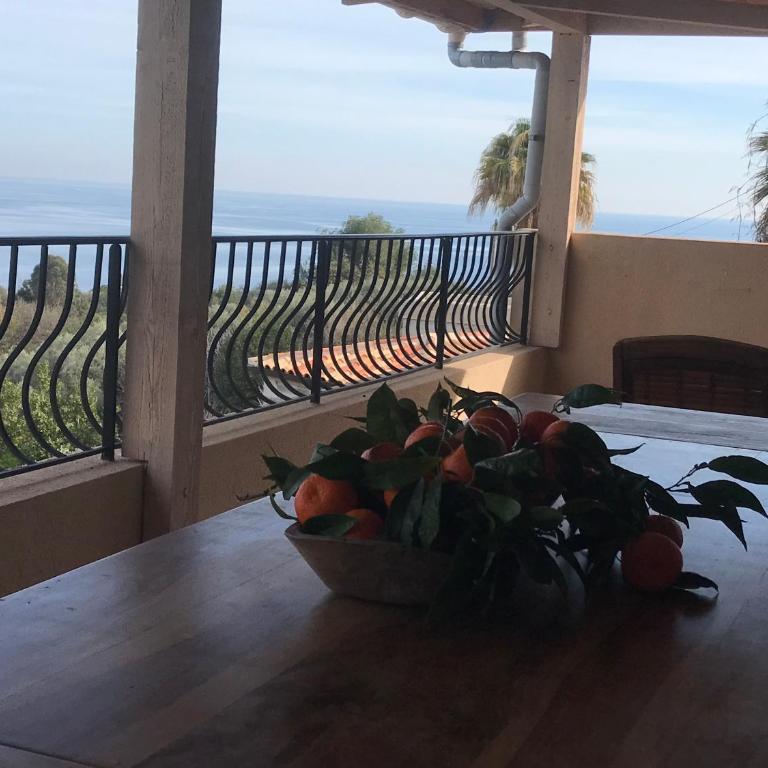 Appartement villa toit terrasse - Appartement 1 Chambre - 10