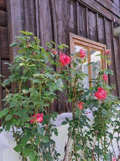 Ferienhaus Chalet Großsölk - Haus mit 3 Schlafzimmern - 17