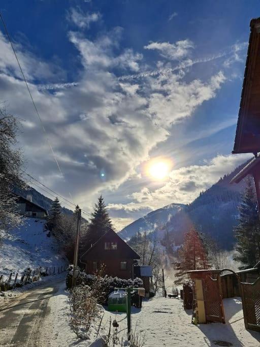 Ferienhaus Chalet Großsölk - Haus mit 3 Schlafzimmern - 28