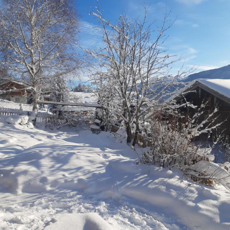 Hüttenzauber - Appartement avec Vue sur la Montagne - 49