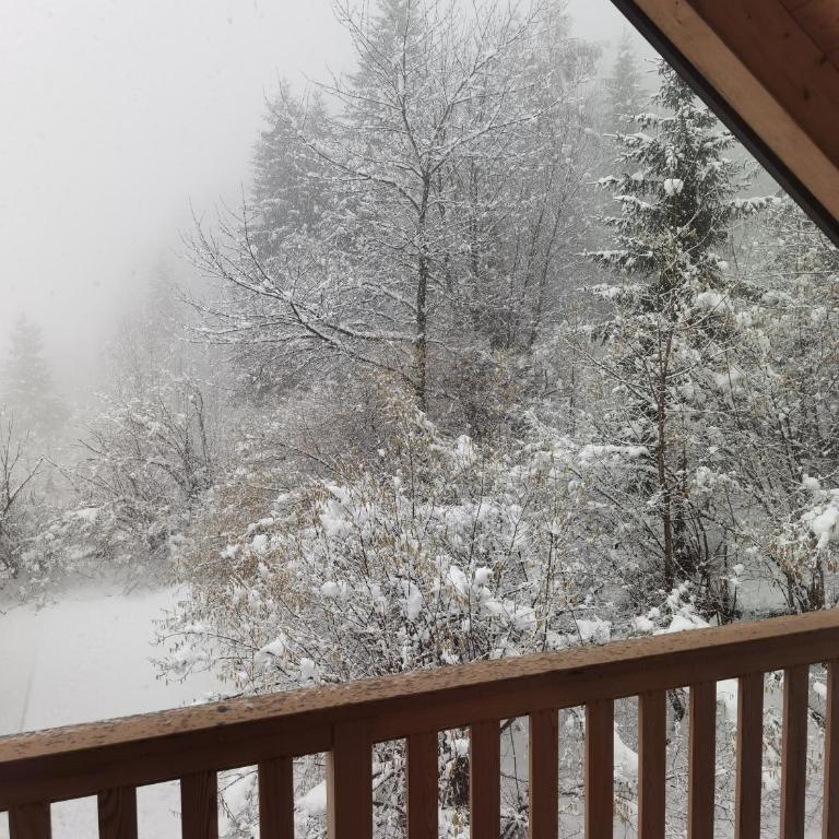 Mansarda Trentino-Campiglio - Appartamento con 2 Camere da Letto - 11