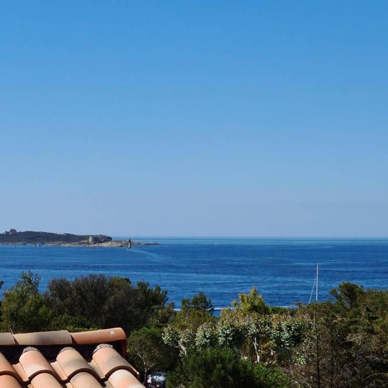 GIEDES Appartement pour 4 personnes avec vue mer face à Porquerolles et piscine situé à Giens - Apartment mit 1 Schlafzimmer - 1