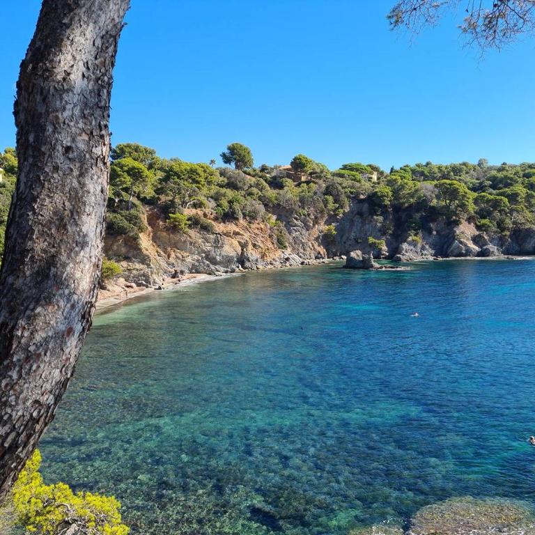 GIEDES Appartement pour 4 personnes avec vue mer face à Porquerolles et piscine situé à Giens - Apartment mit 1 Schlafzimmer - 11