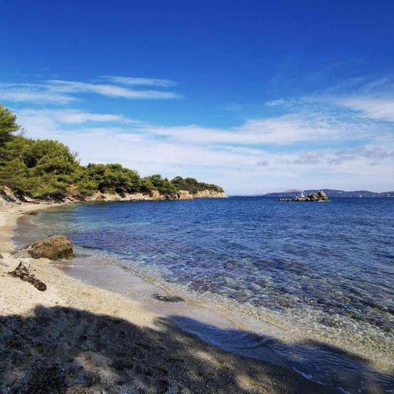 GIEDES Appartement pour 4 personnes avec vue mer face à Porquerolles et piscine situé à Giens - Apartment mit 1 Schlafzimmer - 12