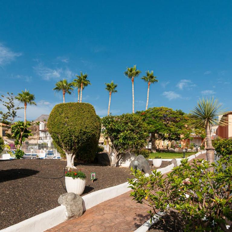 Luxurious Apartment In Residencial Mango! - Apartamento Deluxe - 12