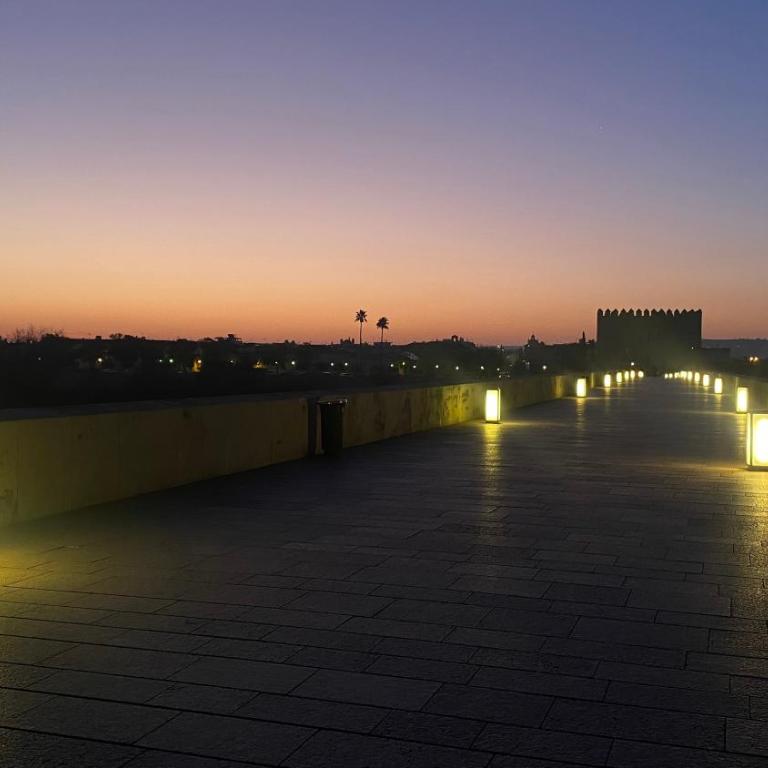 DUPLEX JUNTO AL PUENTE ROMANO con GRAN TERRAZA y PARKING PRIVADO - Apartamento de 3 dormitorios - 12