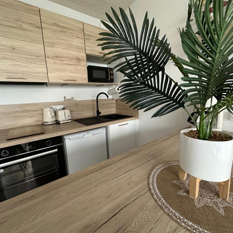 La Dune, proche rue piétonne et plage - Apartment mit 1 Schlafzimmer - 16