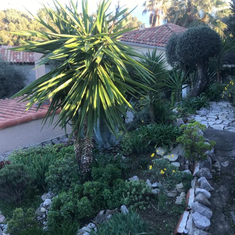 Appartement villa toit terrasse - Appartement 1 Chambre - 50