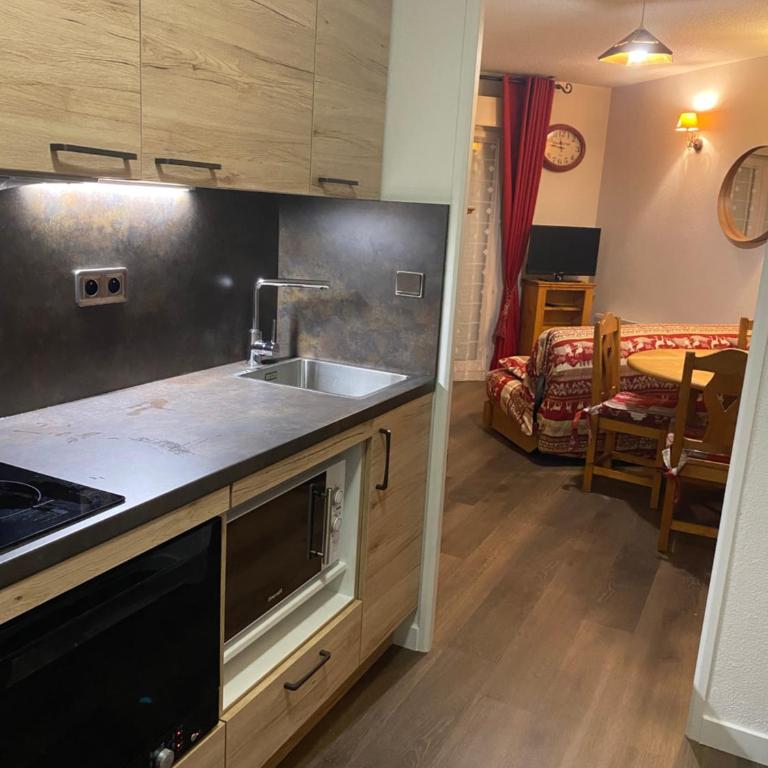 La Tarentaise. - Appartement 1 Chambre - 4