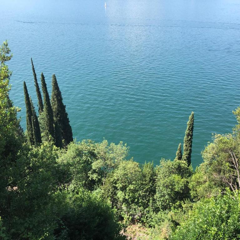 The Cypress House - Historical Center with AC - Appartement 1 Chambre - 48