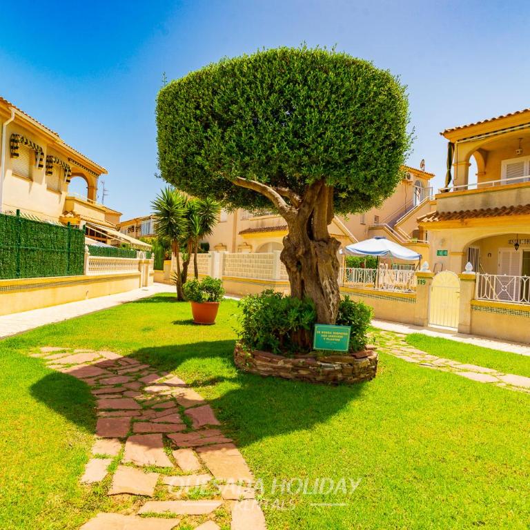 Beautiful La Mata beach modern Apartment - Apartamento de 2 dormitorios - 46