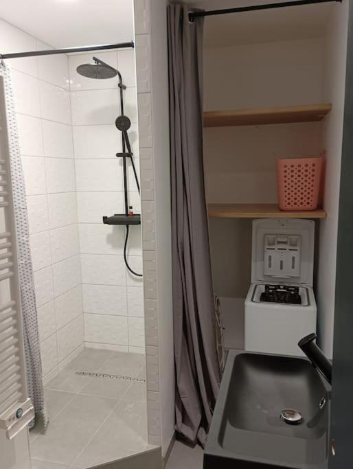 Le Toit Terrasse Palois de 60m2 - Appartement 1 Chambre - 19