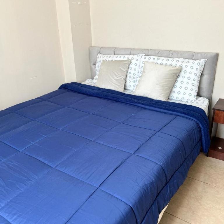 Amplia Casa 8 dormitorios 4 baños Avenida Lircay - Apartamento - 5