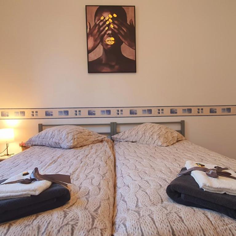 The TRIBE- Superbe duplex standing 8 places - Appartement - 19