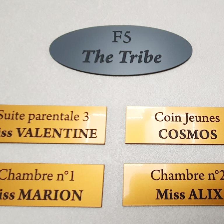 The TRIBE- Superbe duplex standing 8 places - Appartement - 25