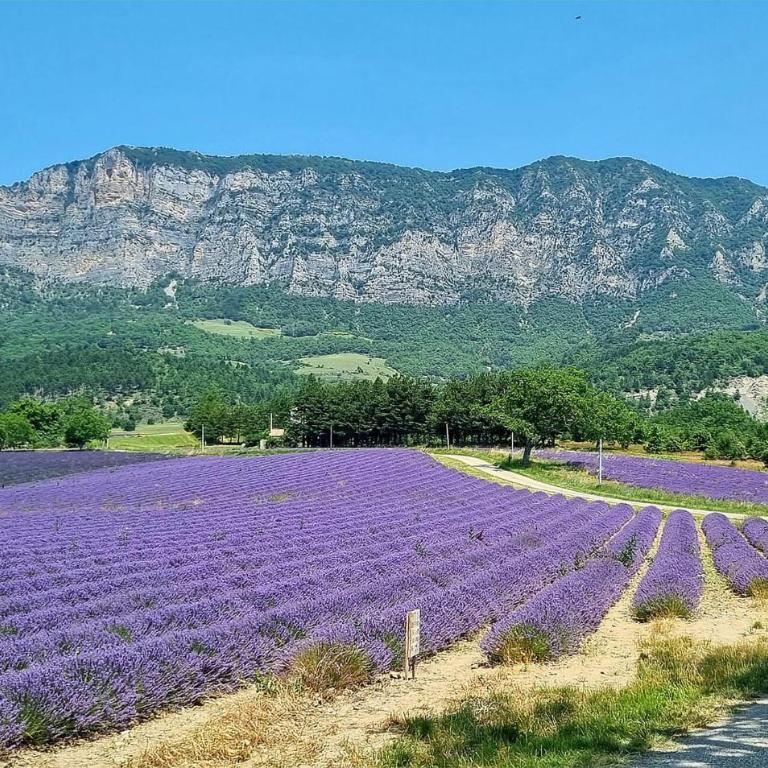 Cozy Home In L'isle-Sur-La-Sorgue With Wifi - Maison de Vacances 1 Chambre - 13