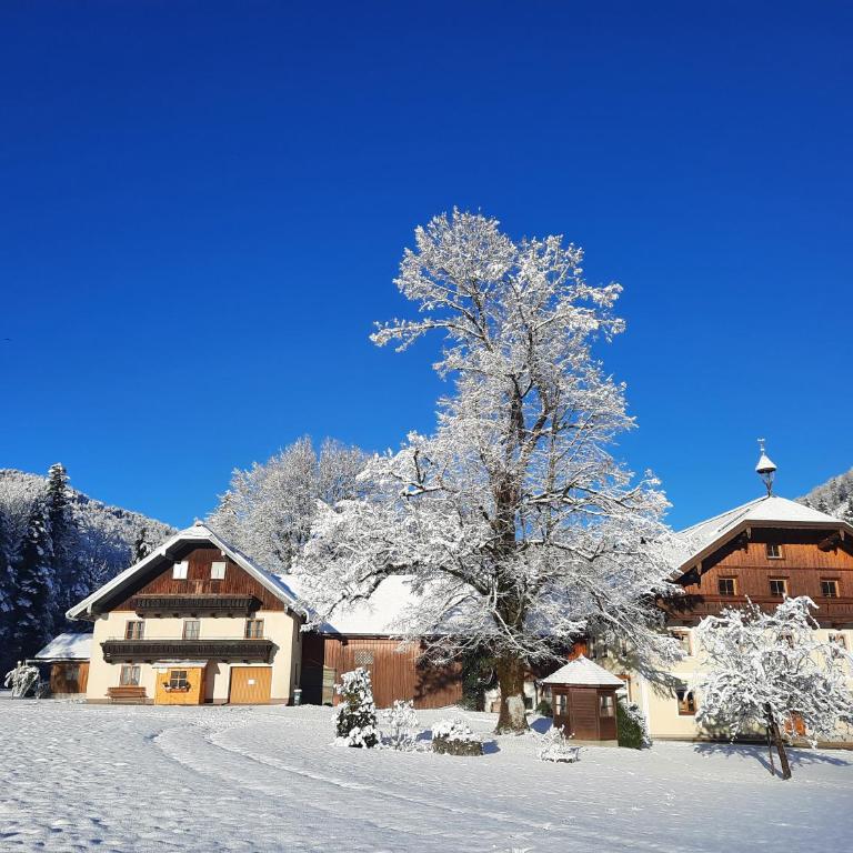 Ferienhaus Laimerbauer - Haus mit 3 Schlafzimmern - 16