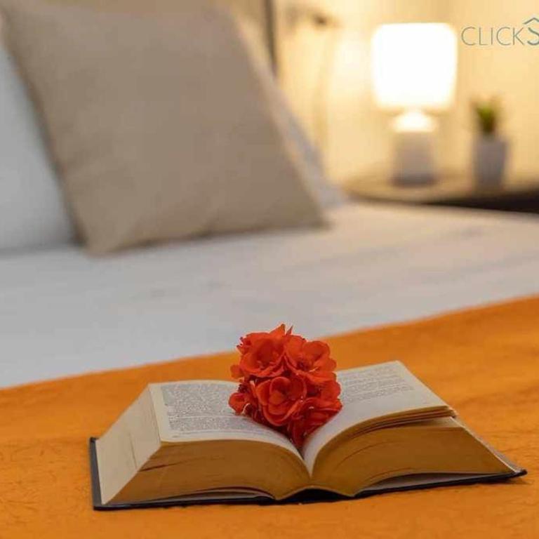 Alghero Villa Maestrale con veranda coperta giardino 4 camere 3 bagni - Casa Vacanze con 4 Camere da Letto - 14