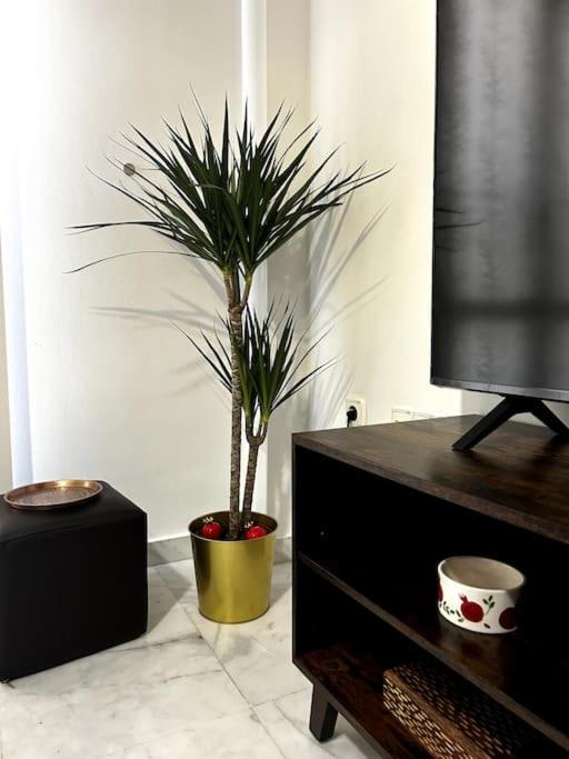 Apartamento Yalda Jerez - Apartamento de 1 dormitorio - 12