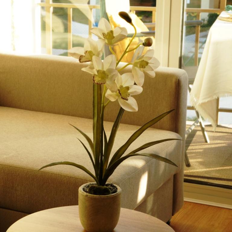 Soleado y luminoso a 3 minutos de la playa-Carihuela - Apartamento de 1 dormitorio - 32